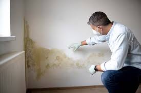  , USA Mold Inspection Pros